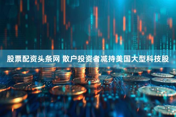 股票配资头条网 散户投资者减持美国大型科技股