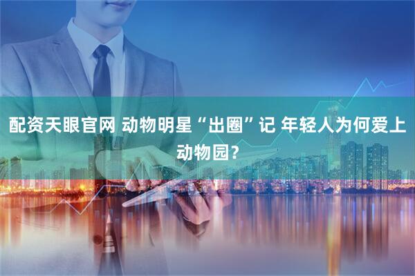 配资天眼官网 动物明星“出圈”记 年轻人为何爱上动物园？